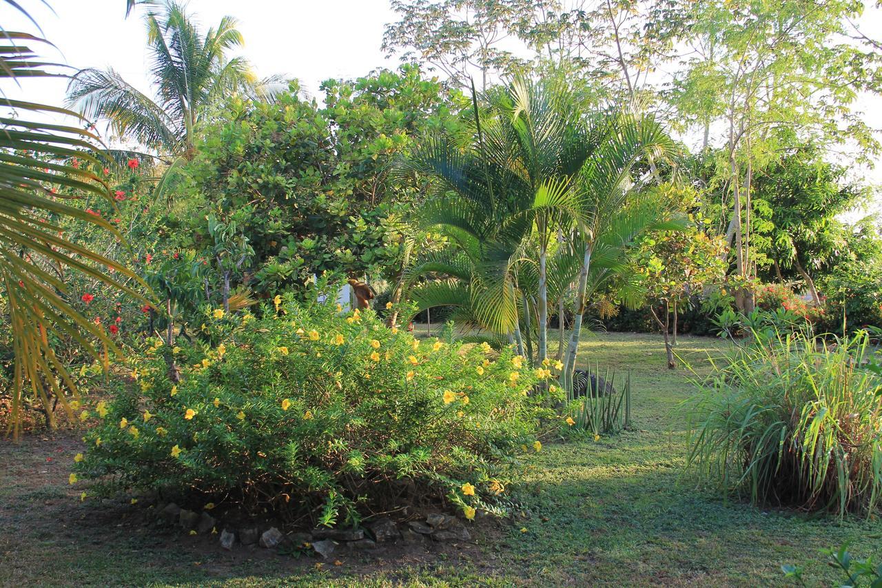 Cabanas La Casa De Pucha Pedasi Town Exterior photo